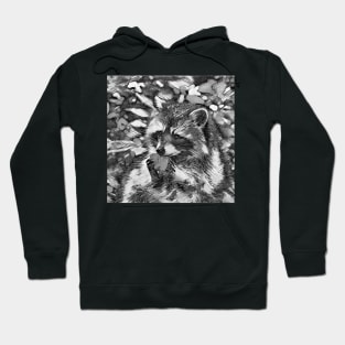 AnimalArtBW Raccoon 01 Hoodie